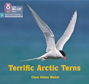 Bild des Verkufers fr Terrific Arctic Terns : Phase 3 Set 2 zum Verkauf von Smartbuy