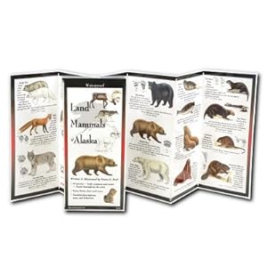 Imagen del vendedor de Land Mammals of Alaska (Poster) a la venta por BargainBookStores