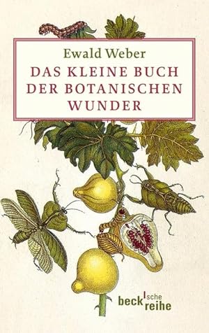 Seller image for Das kleine Buch der botanischen Wunder for sale by CSG Onlinebuch GMBH