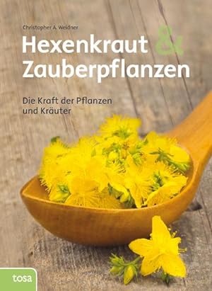 Image du vendeur pour Hexenkraut und Zauberpflanzen: Die Kraft der Pflanzen und Kruter mis en vente par CSG Onlinebuch GMBH