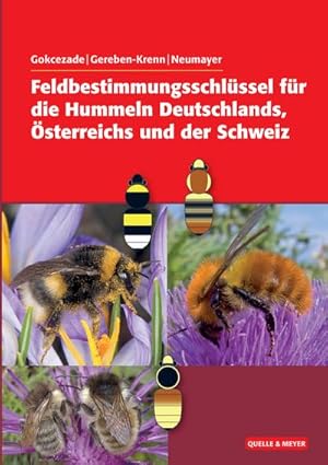 Bild des Verkufers fr Feldbestimmungsschlssel fr die Hummeln Deutschlands, sterreichs und der Schweiz zum Verkauf von CSG Onlinebuch GMBH