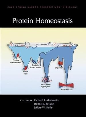 Seller image for Protein Homeostasis (Cold Spring Harbor Perspectives in Biology) for sale by CSG Onlinebuch GMBH