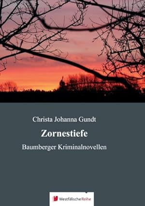 Immagine del venditore per Zornestiefe: Baumberger Kriminalnovellen venduto da CSG Onlinebuch GMBH