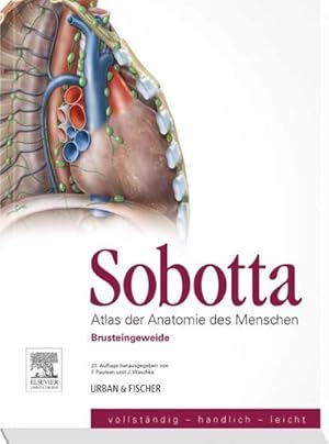 Immagine del venditore per Sobotta, Atlas der Anatomie des Menschen Heft 4: Brusteingeweide venduto da CSG Onlinebuch GMBH