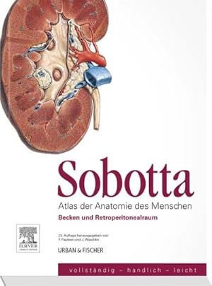 Immagine del venditore per Sobotta, Atlas der Anatomie des Menschen Heft 6: Becken und Retroperitonealraum venduto da CSG Onlinebuch GMBH