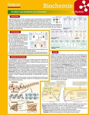 Bild des Verkufers fr Lerntafel: Biochemie im berblick (Lerntafeln Biologie) zum Verkauf von CSG Onlinebuch GMBH