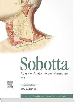 Immagine del venditore per Sobotta, Atlas der Anatomie des Menschen Heft 8: Hals venduto da CSG Onlinebuch GMBH