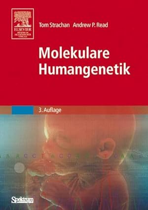 Seller image for Molekulare Humangenetik for sale by CSG Onlinebuch GMBH