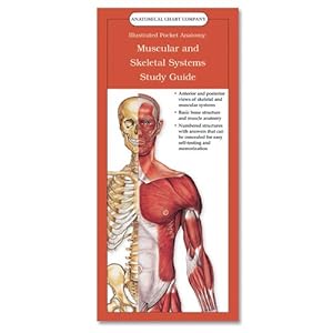 Seller image for Study Guide (Anatomical Chart Company's Illustrated Pocket Anatomy) for sale by WeBuyBooks
