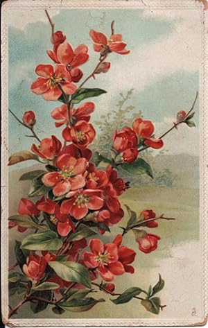 Image du vendeur pour flower postcard: out in the garden mis en vente par Mobyville