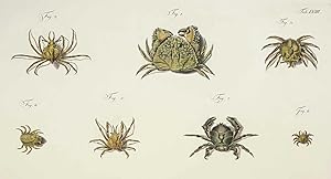 Johann Friedrich Wilhelm Herbst, Crustacea, Krabben und Krebse, Krebstiere (Crustacea). - Herbst,...