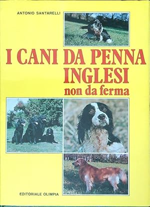I cani da penna inglesi - non da ferma