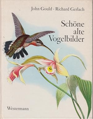 Seller image for Schne alte Vogelbilder for sale by Allguer Online Antiquariat