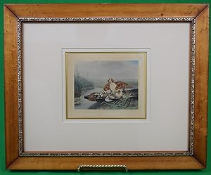 French c1895 Colour Plate Depicting Two Hunting Dogs w/ Ducks On A Skiff