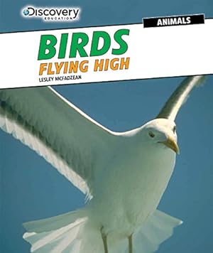 Seller image for Birds: Flying High (Discovery Education: Animals) for sale by WeBuyBooks