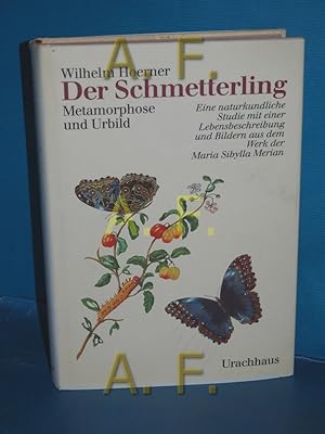 Immagine del venditore per Der Schmetterling : Metamorphose und Urbild , eine naturkundliche Studie mit einer Lebensbeschreibung und Bildern aus dem Werk der Maria Sibylla Merian venduto da Antiquarische Fundgrube e.U.