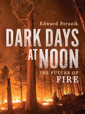 Image du vendeur pour Dark Days at Noon : The Future of Fire mis en vente par GreatBookPrices