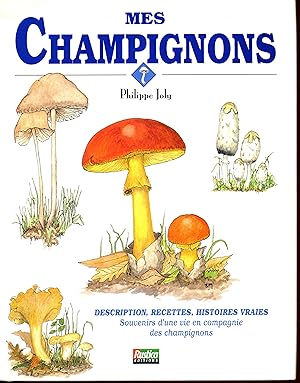 Champignons : description, recettes, histoires vraies