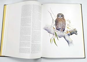 Imagen del vendedor de Nocturnal Birds of Australia a la venta por Adelaide Booksellers