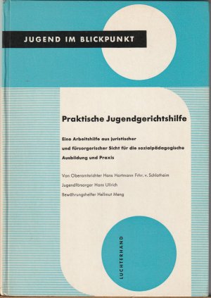Immagine del venditore per Praktische Jugendgerichtshilfe venduto da BuchSigel