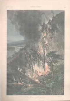 Seller image for A Forest Fire. From August 21, 1862 issue of Harper's Weekly. for sale by Wittenborn Art Books