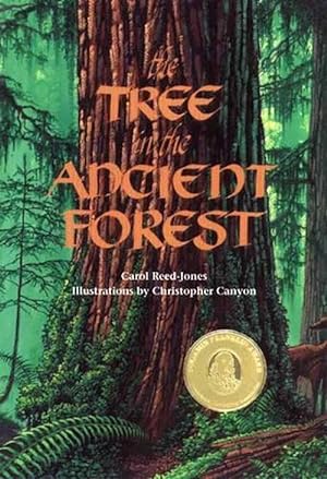 Seller image for The Tree in the Ancient Forest (Paperback) for sale by CitiRetail