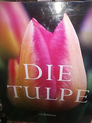 Seller image for Die Tulpe (Groformatiger Bildband) for sale by Verlag Robert Richter
