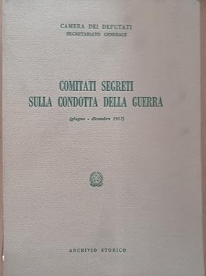 Comitati segreti sulla condotta della guerra (giugno - dicembre 1917)