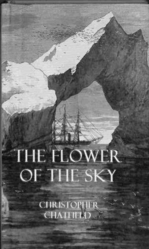 Seller image for The flower of the Sky - the Sequel to Ashember's Meteor for sale by WeBuyBooks