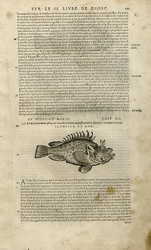 Antique Print-Marine life-Scorpion fish-Monk fish-Mattioli-p. 201-Anonymous-1572