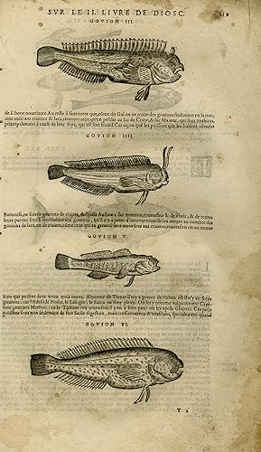 Antique Print-Marine life-Fish-Carp-Tuna-Mattioli-p. 219-Anonymous-1572