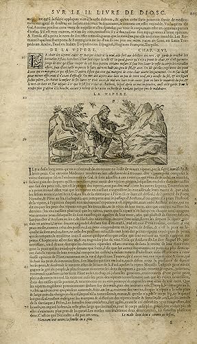 Antique Print-Animals-Hunt-Catch-Viper-Mattioli-p. 205-Anonymous-1572