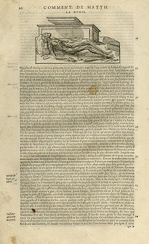 Antique Print-Medecine-Mummy-Mummia-Mattioli-p. 90-Anonymous-1572