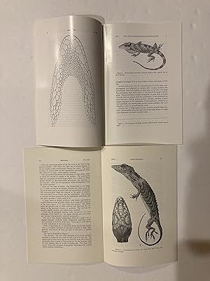 Papers on the ecology, behavior, systematics of the lizard genus Phenacosaurus / Phenacosaur