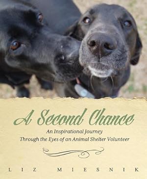 Immagine del venditore per A Second Chance : An Inspirational Journey through the Eyes of an Animal Shelter Volunteer venduto da AHA-BUCH GmbH