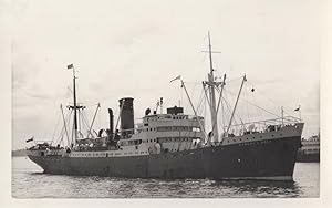 Robert Holt Post WW2 Cammell Laird British Ship Vintage Photo