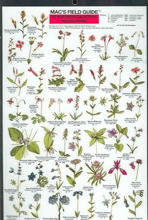 Seller image for Mac's Field Guides: Northern California Wildflowers (Cards) for sale by CitiRetail