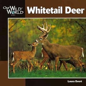 Seller image for Whitetail Deer (Paperback) for sale by CitiRetail