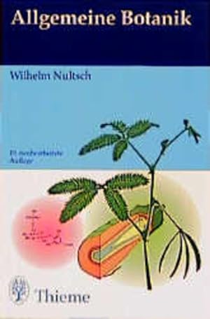 Seller image for Allgemeine Botanik for sale by Antiquariat Armebooks
