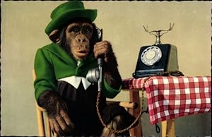 Ansichtskarte / Postkarte Gekleideter Schimpanse beim Telefonieren, Telefon
