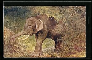 Image du vendeur pour Knstler-Ansichtskarte Elefant vor Unterholz im Wald mis en vente par Bartko-Reher