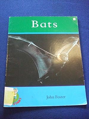 Bild des Verkufers fr Jumpstart Bats: Stage 2 Set A Book 4: Bk. 4 zum Verkauf von WeBuyBooks