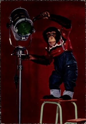 Ansichtskarte / Postkarte Vermenschlichter Schimpanse mit Scheinwerfer