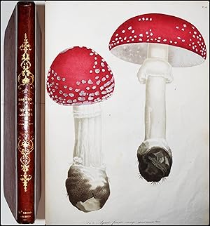 Seller image for Histoire des champignons comestibles et vnneux. Orne de figures colories representant les principales espces dans leurs dimensions naturelles; o l on expose leurs caractres distinctifs, leurs proprits alimentaires et conomiques, leurs effets nuisibles et les moyens de s en garantir ou d y remdier, ouvrage utile aux amateurs des champignons, aux mdecins, aux naturalistes, aux propritaires ruraux, aux maires de villes et des campagnes, etc. for sale by Antiquariat Haufe & Lutz