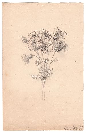 Seller image for Mary Priscilla Wilson Smith Pencil Flower Study 1870 for sale by James Arsenault & Company, ABAA