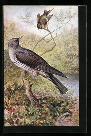 Imagen del vendedor de Knstler-Ansichtskarte Kuckuck und Singvogel an einem Gewsser im Frhling a la venta por Bartko-Reher