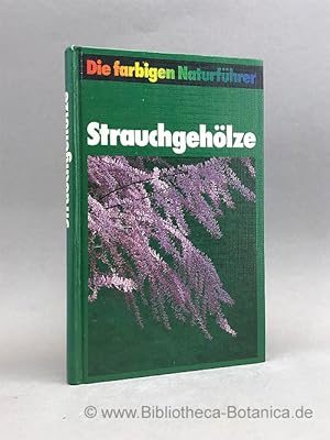 Imagen del vendedor de Strauchgehlze. 251 europische Arten auf 434 Farbfotos und 251 Zeichnungen. a la venta por Bibliotheca Botanica