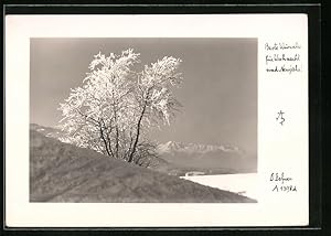 Bild des Verkufers fr Foto-Ansichtskarte Adalbert Defner: Sonnenidyll im Bergwinter zum Verkauf von Bartko-Reher
