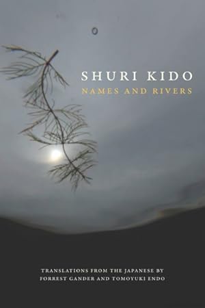 Imagen del vendedor de Names and Rivers a la venta por GreatBookPrices