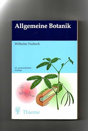 Seller image for Wilhelm Nultsch, Allgemeine Botanik / 10. Auflage for sale by sonntago DE